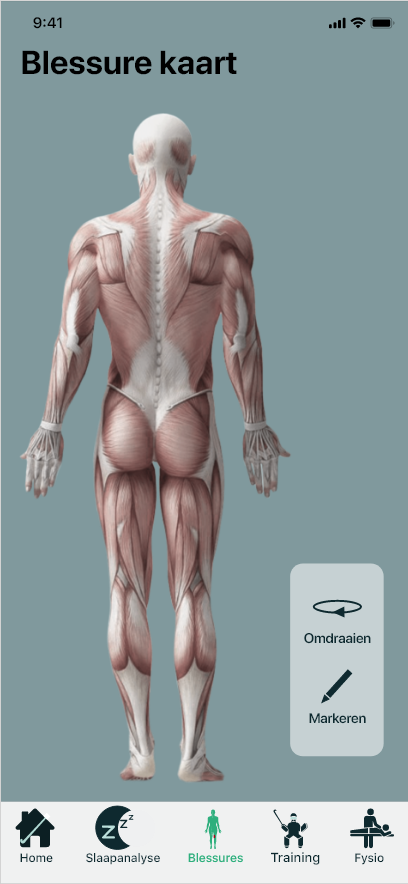 map with the back of a human showing muscles, the player can indicate an injury by tapping the screen